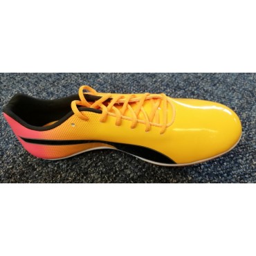 Puma evospeed sprint 14.5 / 310706 01